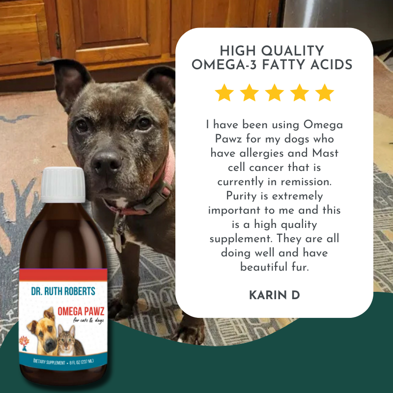 Omega Pawz - Liquid Omega 3 Oil for Dogs and Cats Animals & Pet Supplies Dr. Ruth Roberts
