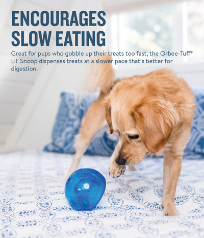 Planet Dog Orbee-Tuff Double Snoop Interactive Treat-Dispensing Dog Toy Dog Toys Balls Outward Hound