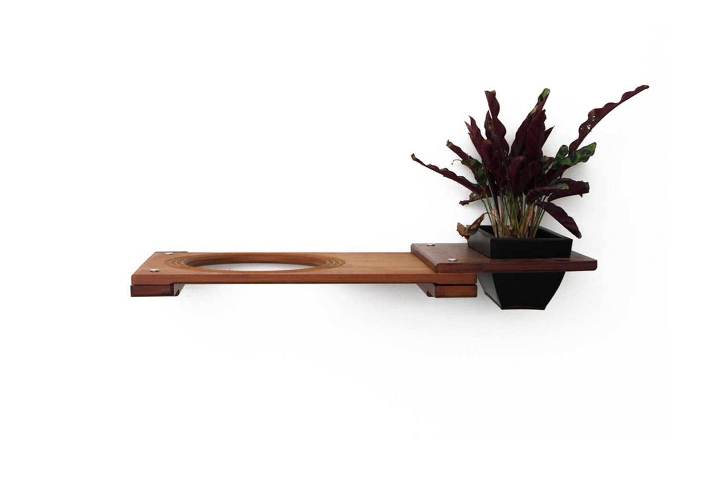 Cat Plant Stand for Wall English Chestnut Bamboo 18" Escape Hatch Cat shelves/bed Catastrophic Creations