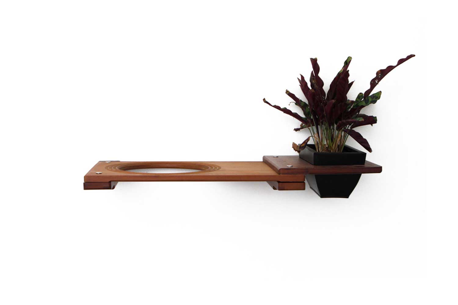 Cat Plant Stand for Wall English Chestnut Bamboo 18" Escape Hatch Cat shelves/bed Catastrophic Creations