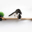 Cat Plant Stand for Wall Cat shelves/bed Catastrophic Creations