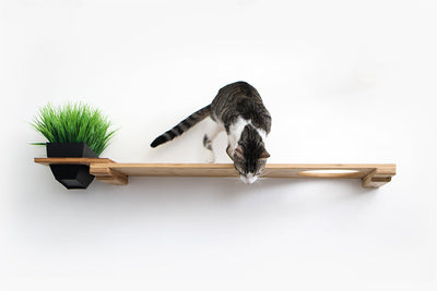 Cat Plant Stand for Wall Cat shelves/bed Catastrophic Creations