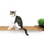 Cat Plant Stand for Wall Cat shelves/bed Catastrophic Creations