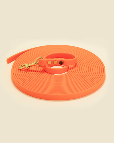 30' Training Check Cord - Blaze Orange Dog Supplies Pointer Traditions