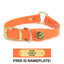 Hunting Dog Center Ring Collar - Blaze Orange Dog Supplies Pointer Traditions