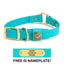 Hunting Dog Center Ring Collar - Teal Dog Supplies Pointer Traditions