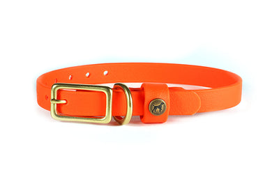 Sporting Puppy Collar - Blaze Orange Dog Supplies Pointer Traditions