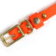 Sporting Puppy Collar - Blaze Orange Dog Supplies Pointer Traditions