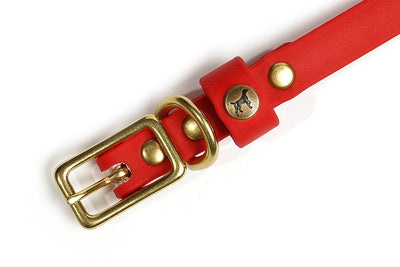 Sporting Puppy Collar - Red Dog Supplies Pointer Traditions