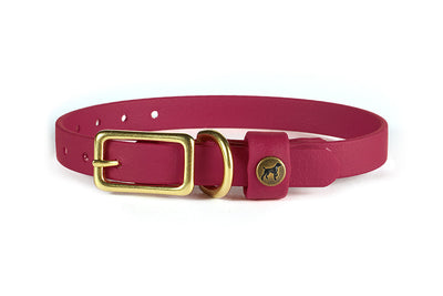 Sporting Puppy Collar - Wine Dog Supplies Pointer Traditions