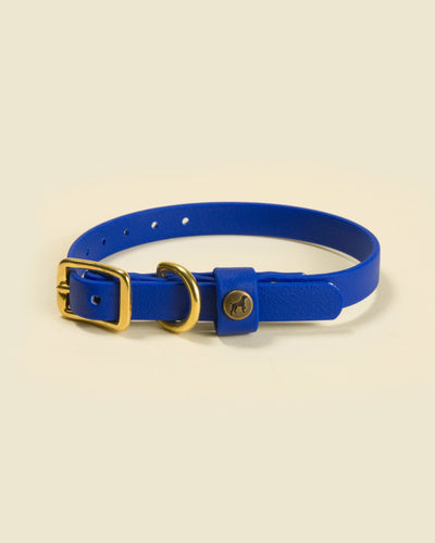 Sporting Puppy Collar - River Blue Dog Supplies Pointer Traditions