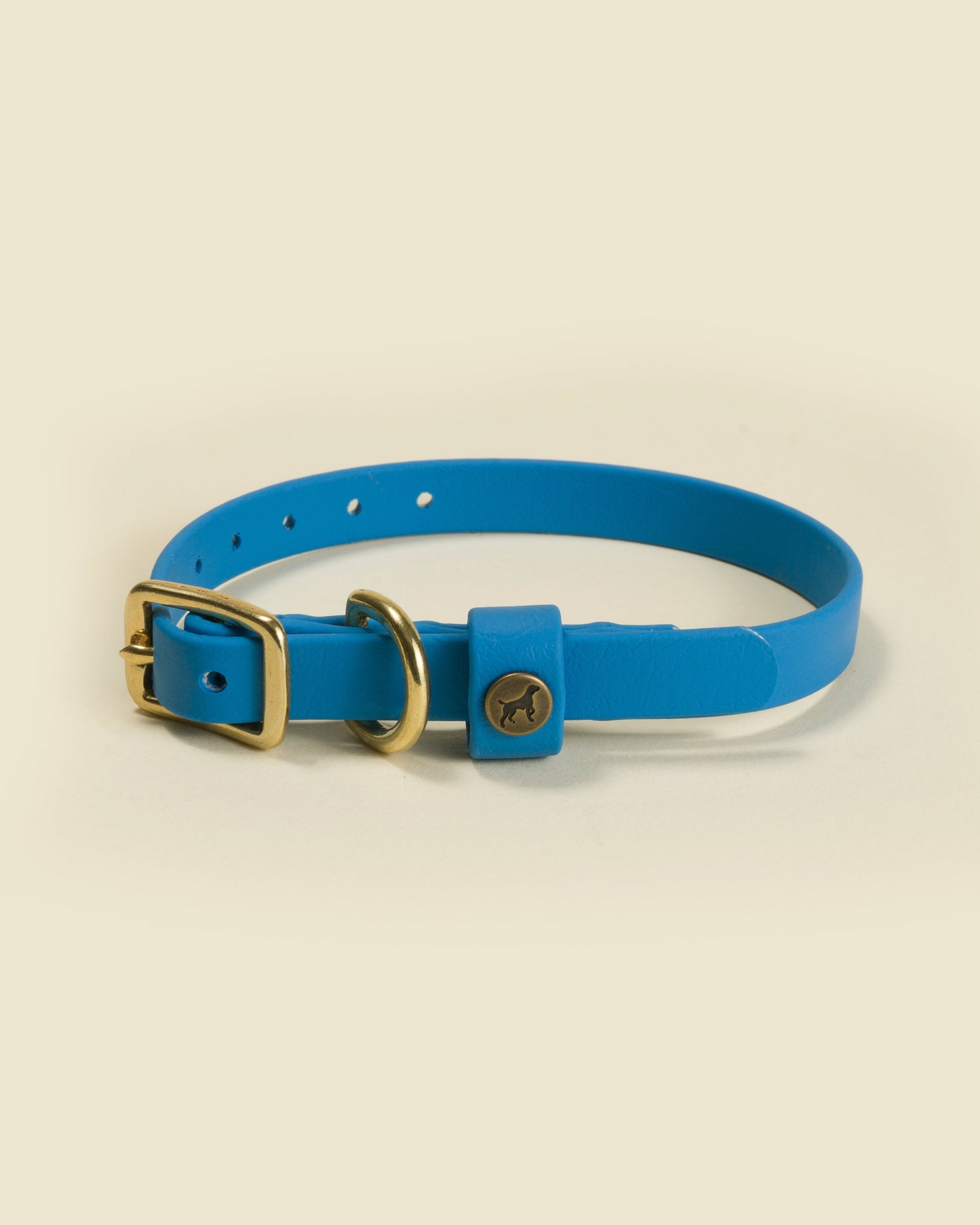 Sporting Puppy Collar - Sky Blue Dog Supplies Pointer Traditions