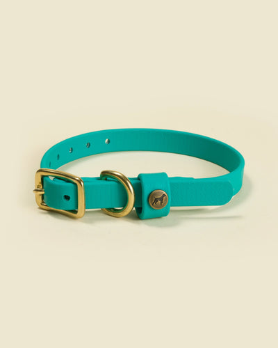 Sporting Puppy Collar - Teal Dog Supplies Pointer Traditions