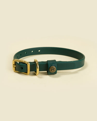 Sporting Puppy Collar - Woodland Green Dog Supplies Pointer Traditions