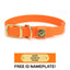 Sporting Dog Collar - Blaze Orange Dog Supplies Pointer Traditions