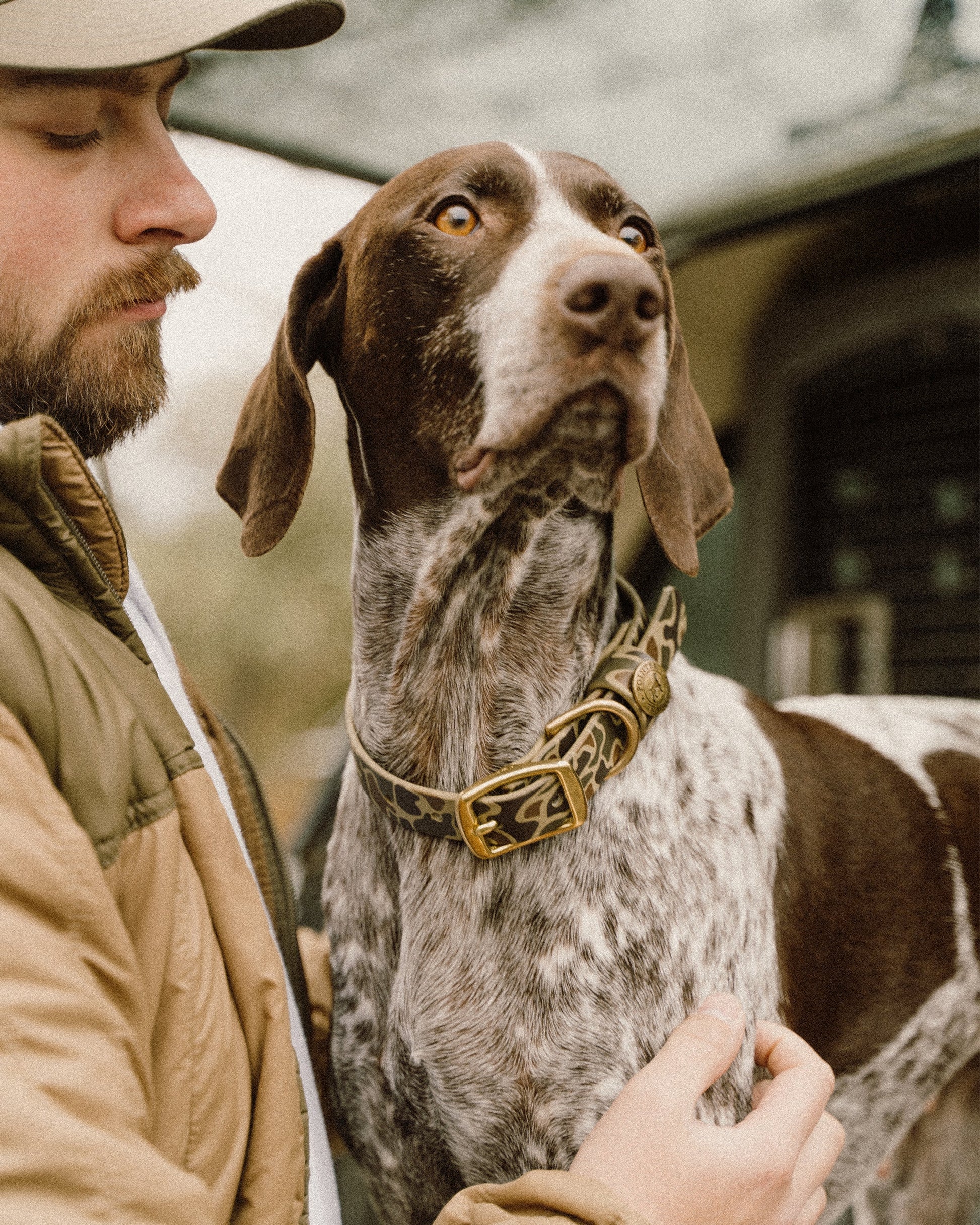 Sporting Dog Collar - Wingshooter Vintage Camo Dog Supplies Pointer Traditions