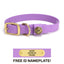 Sporting Dog Collar - Lavender Dog Supplies Pointer Traditions