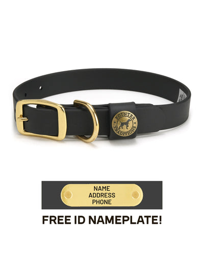 Sporting Dog Collar - Midnight Black Dog Supplies Pointer Traditions