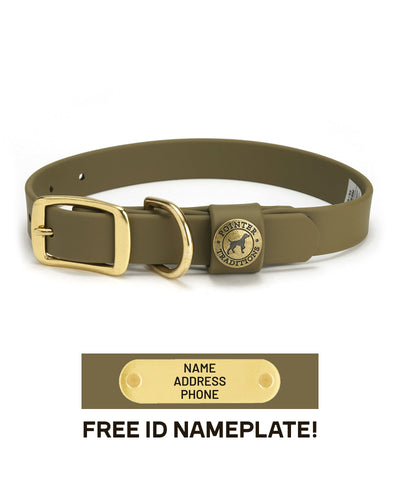 Sporting Dog Collar - Ranger Green Dog Supplies Pointer Traditions