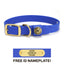 Sporting Dog Collar - River Blue Dog Supplies Pointer Traditions