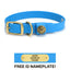 Sporting Dog Collar - Sky Blue Dog Supplies Pointer Traditions