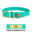 Sporting Dog Collar - Teal Dog Supplies Pointer Traditions