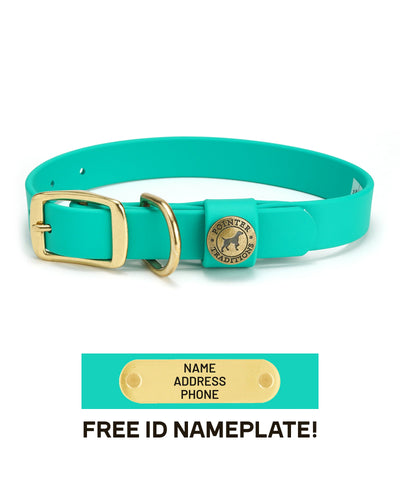 Sporting Dog Collar - Teal Dog Supplies Pointer Traditions