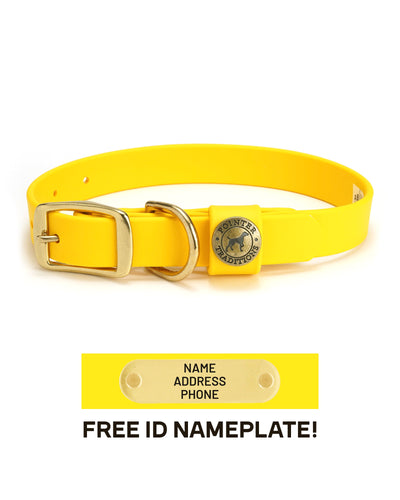 Sporting Dog Collar - Sunglow Yellow Dog Supplies Pointer Traditions