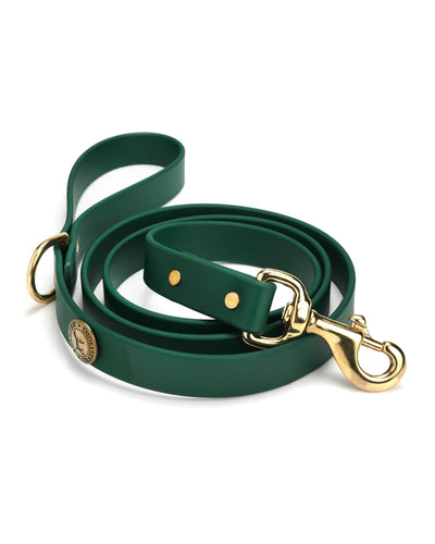 Sporting Dog Leash - Woodland Green Dog Supplies Pointer Traditions