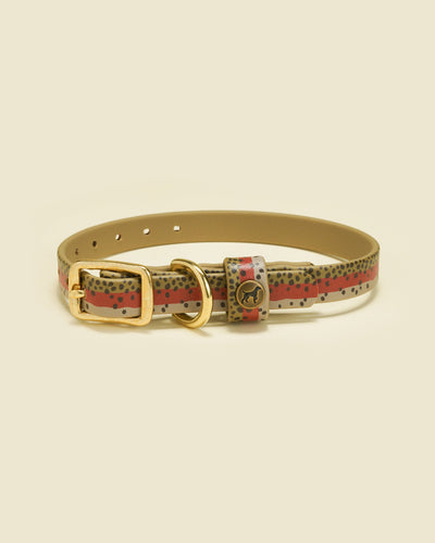 Sporting Puppy Collar - Rainbow Trout Dog Supplies Pointer Traditions