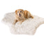 PupRug® Animal Print Memory Foam Dog Bed - Polar Bear Faux Hide Dog Beds Paw