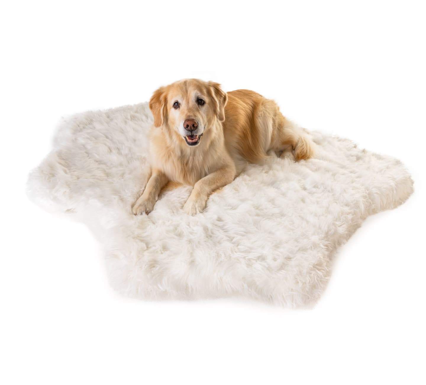 PupRug® Animal Print Memory Foam Dog Bed - Polar Bear Faux Hide Dog Beds Paw