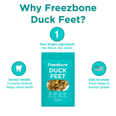 Freezbone Whole Duck Feet Dental Treats for Dogs - Human Grade - Single Ingredient Dog Treats Freezbone
