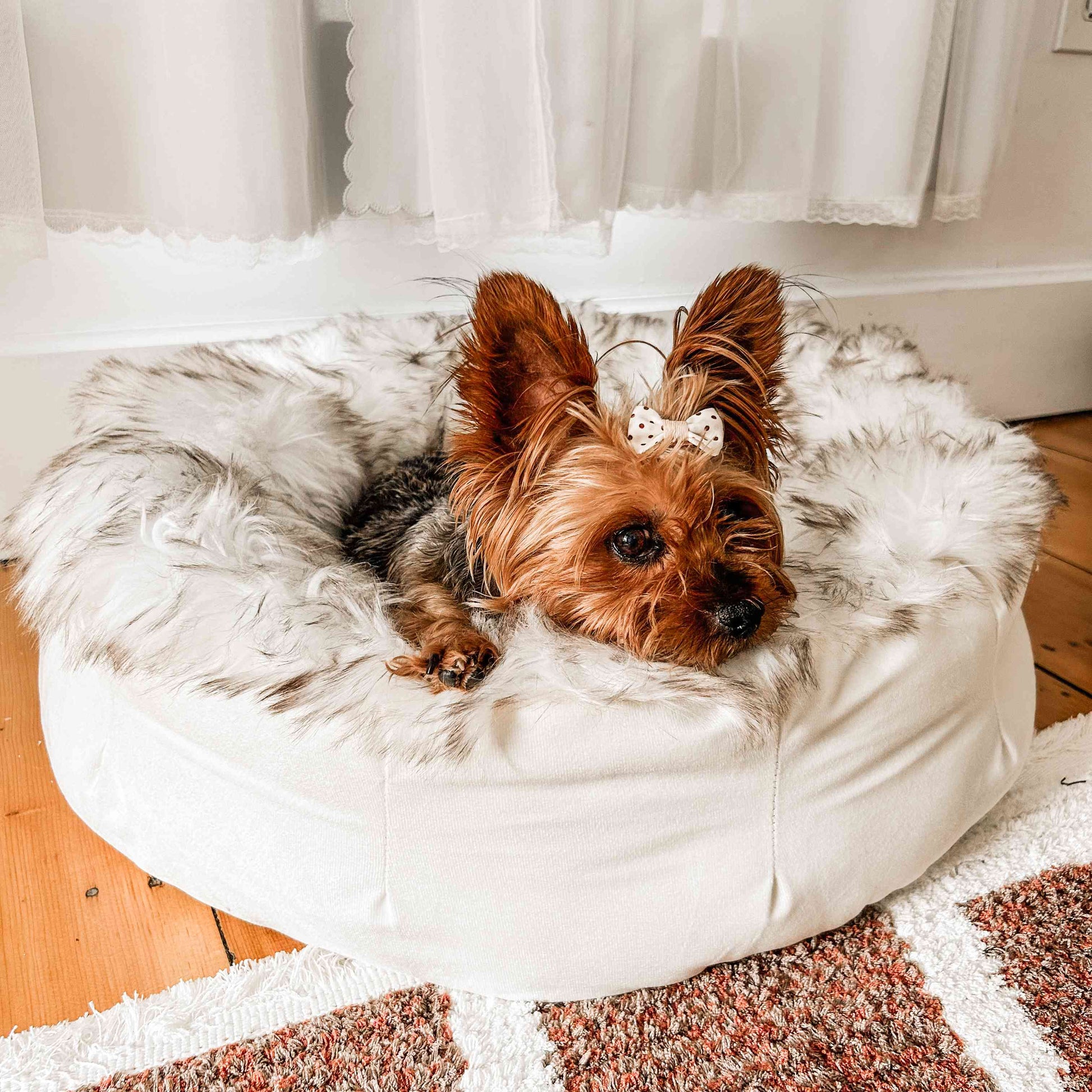 PupPouf™ Faux Fur Donut Dog Bed - White with Brown Accents Dog Beds Paw