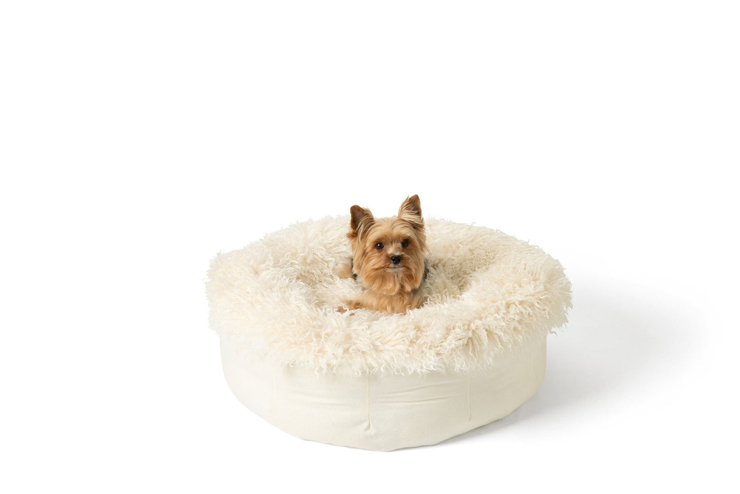 PupPouf™ Luxe Faux Fur Donut Dog Bed - Plush Sheep Ivory Dog Beds Paw