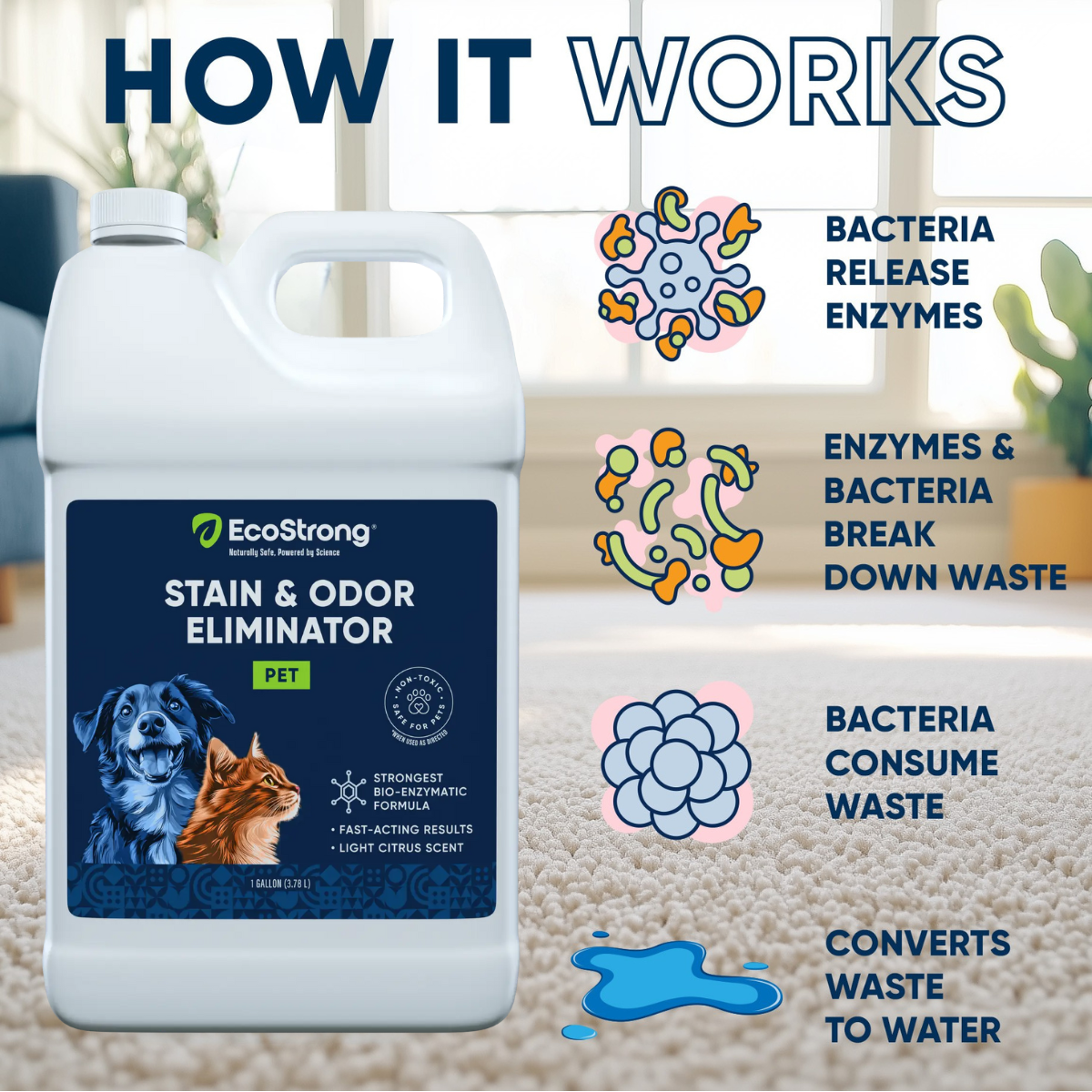 Pet Stain and Odor Eliminator Pet & Animal > Pet Stain & Odor EcoStrong