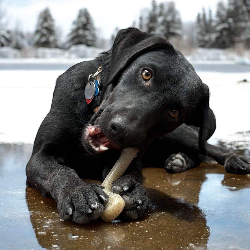 Hockey Stick Nylon Dog Chew Toy - Ultra-Durable for Aggressive Chewers USA Nylon Dog Toys SodaPup/True Dogs, LLC