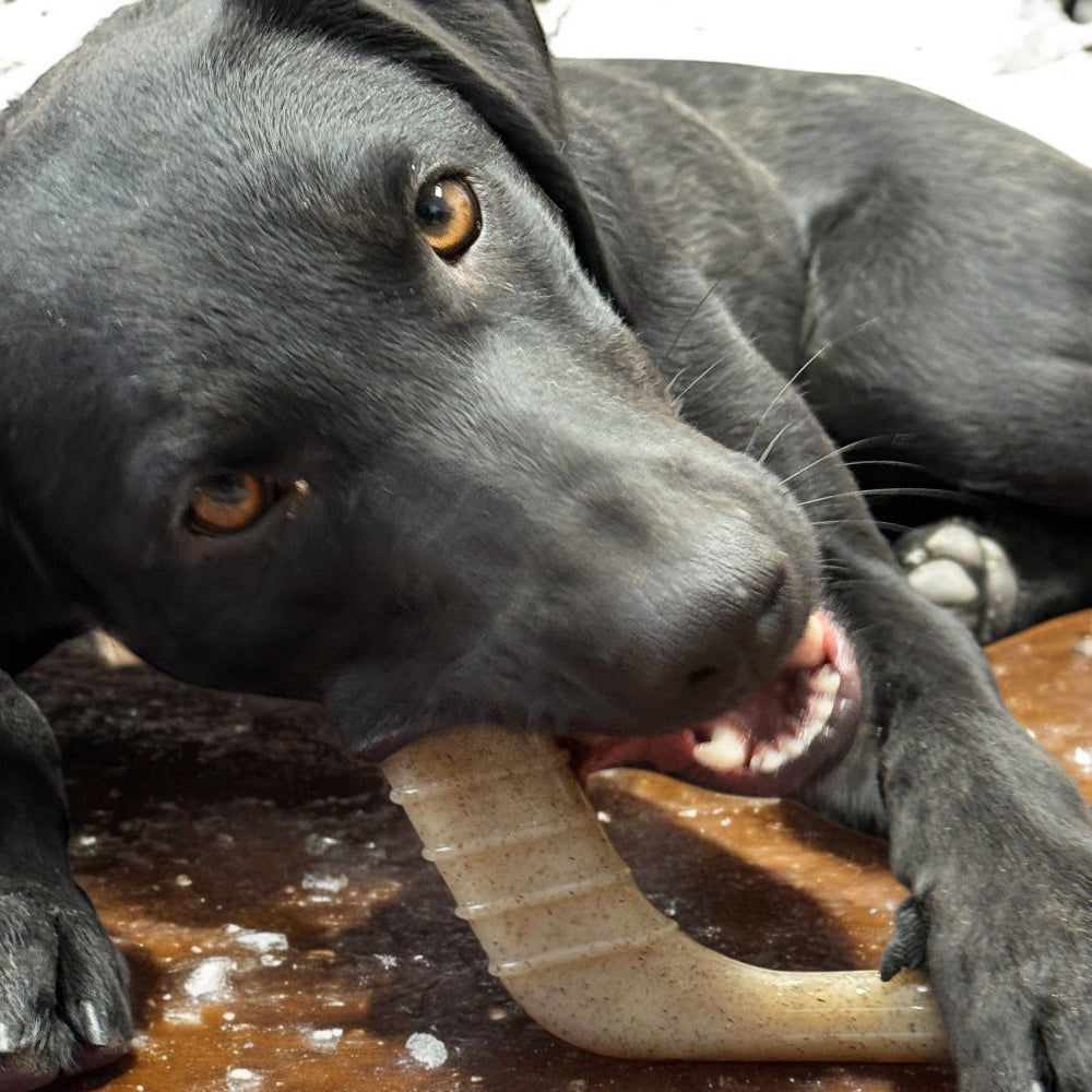 Hockey Stick Nylon Dog Chew Toy - Ultra-Durable for Aggressive Chewers USA Nylon Dog Toys SodaPup/True Dogs, LLC