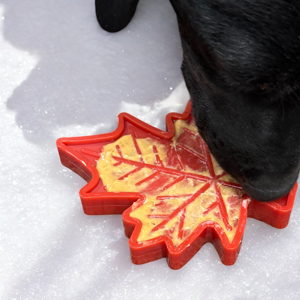 Canadian Maple Leaf Nylon Dog Chew Toy - Indestructible & USA Made Nylon Dog Toys SodaPup/True Dogs, LLC