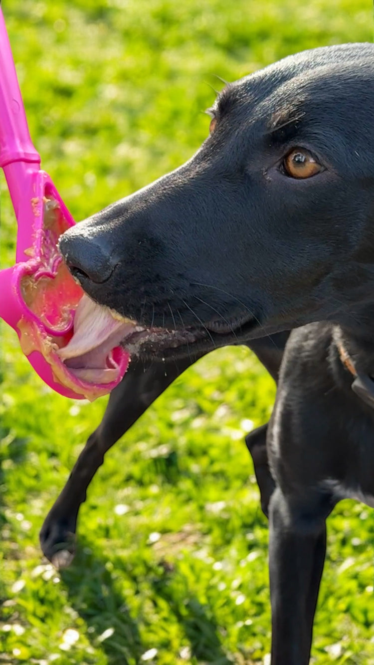 Lick Stick Hand-Held Dog Enrichment Toy - Interactive Lick Stick | USA Made EMAT SodaPup/True Dogs, LLC
