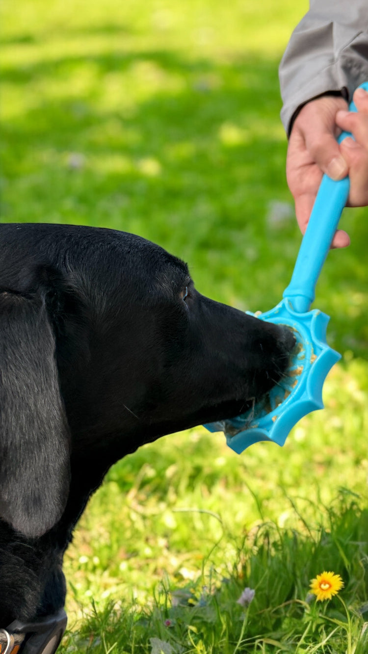 Lick Stick Hand-Held Dog Enrichment Toy - Interactive Lick Stick | USA Made EMAT SodaPup/True Dogs, LLC