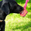 Lick Stick Hand-Held Dog Enrichment Toy - Interactive Lick Stick | USA Made EMAT SodaPup/True Dogs, LLC