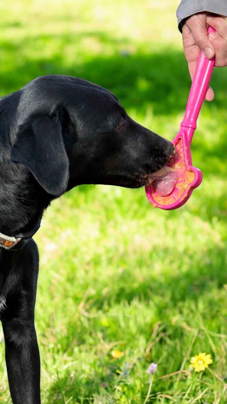 Lick Stick Hand-Held Dog Enrichment Toy - Interactive Lick Stick | USA Made EMAT SodaPup/True Dogs, LLC