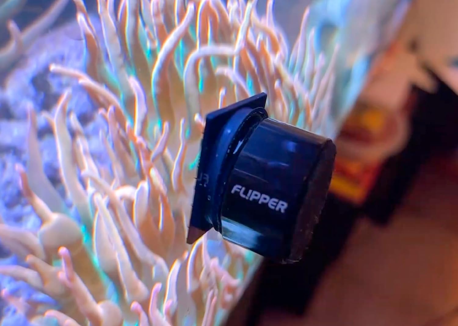 Flipper Pico 2 in 1 Aquarium Magnet Cleaner Replacement Blades 4 Pack Replacement Blades Flipper Aquarium Products