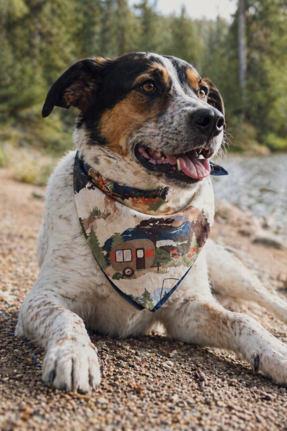 Camping Dog Bandana Dog Bandana Happy Tails Outfitters