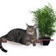 Cat Hammock Wall with Planter Cat Hammock Catastrophic Creations