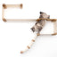 The Play - A Cat Play Wall System Cat Condo Catastrophic Creations