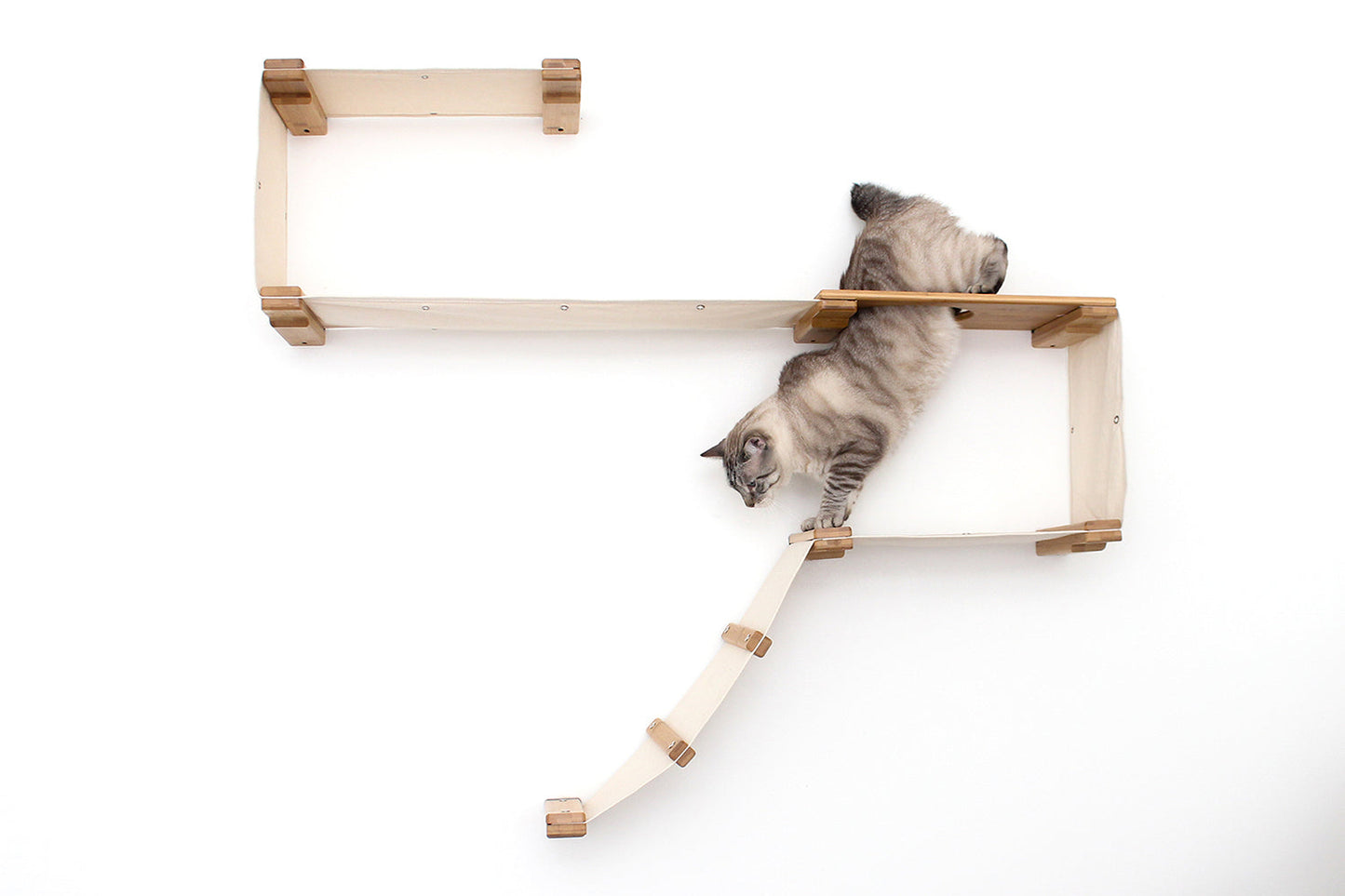 The Play - A Cat Play Wall System Cat Condo Catastrophic Creations