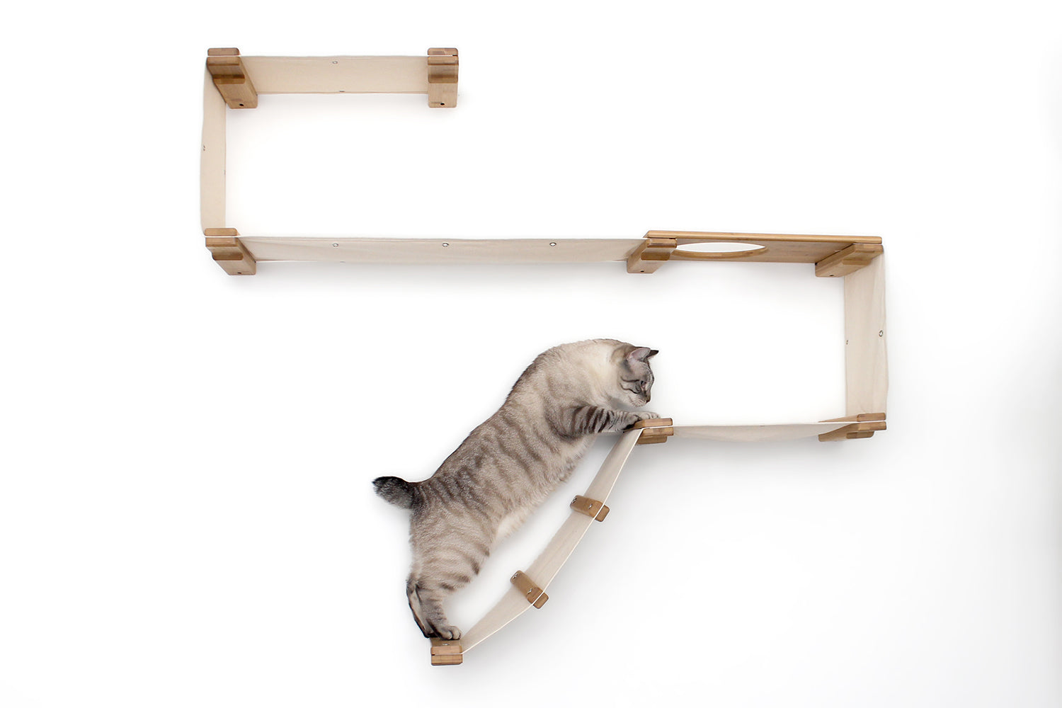 The Play - A Cat Play Wall System Cat Condo Catastrophic Creations