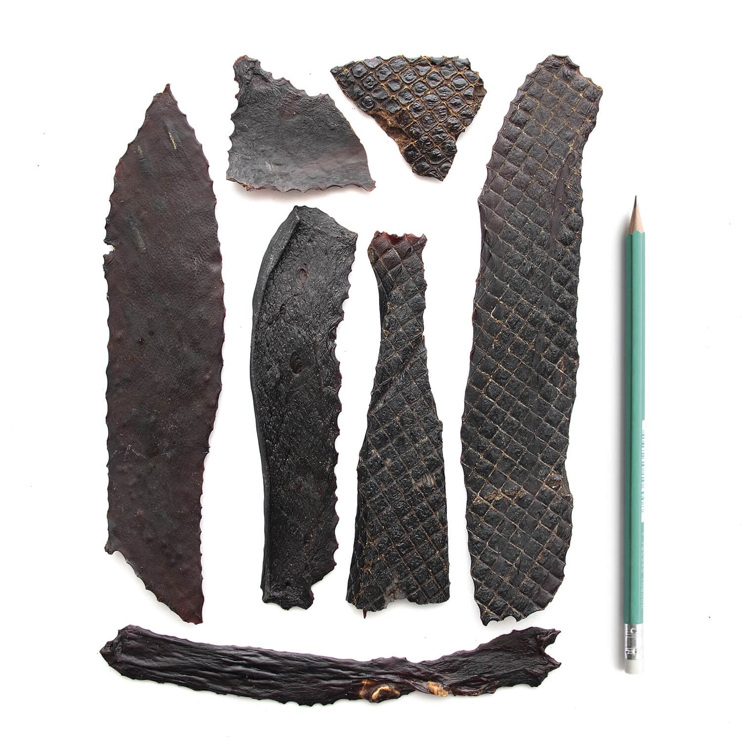 Super Foods Porky Liver Fillets 6oz SuperCan Bully Sticks